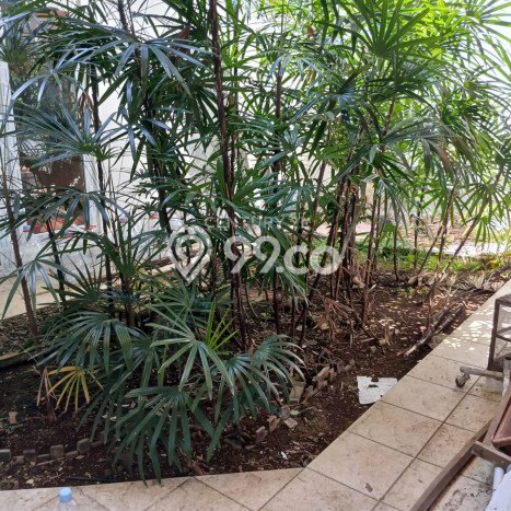 Jual Rumah Eksklusif 4 KT di Baranangsiang, Bogor Jual Rumah Eksklusif 4 KT di Baranangsiang, Bogor