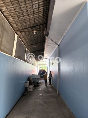 Tersedia Ruko Bisnis di Pademangan Jakarta Utara Harga Sewa Menarik Bisa Nego Tersedia Ruko Bisnis di Pademangan Jakarta Utara Harga Sewa Menarik Bisa Nego