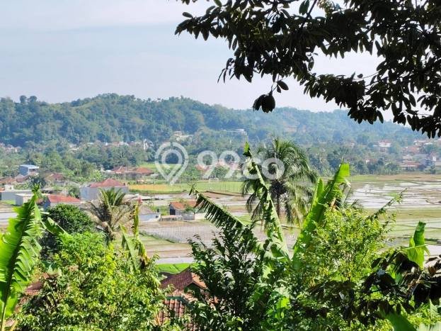 Tanah untuk Dijual Lokasi Leuwiliang, Bogor Luas 50000m2 SHM Tanah untuk Dijual Lokasi Leuwiliang, Bogor Luas 50000m2 SHM