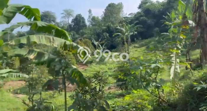 Tanah Strategis Dijual di Jasinga Bogor 23820m2 Tanah Strategis Dijual di Jasinga Bogor 23820m2