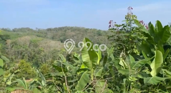 Tanah Strategis Dijual di Jasinga Bogor 23820m2 Tanah Strategis Dijual di Jasinga Bogor 23820m2
