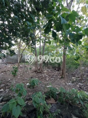 Tanah Kavling Dijual di Badung dengan Spesifikasi 475m2 Tanah Kavling Dijual di Badung dengan Spesifikasi 475m2