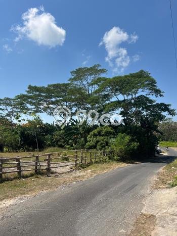 Rumah Luxury Modern Siap Huni di Kutuh Badung Rumah Luxury Modern Siap Huni di Kutuh Badung