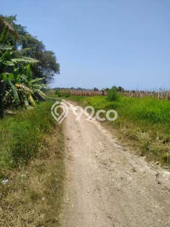 Tanah Dijual Lokasi Strategis di Tabanan dengan Luas 2955m2 Tanah Dijual Lokasi Strategis di Tabanan dengan Luas 2955m2