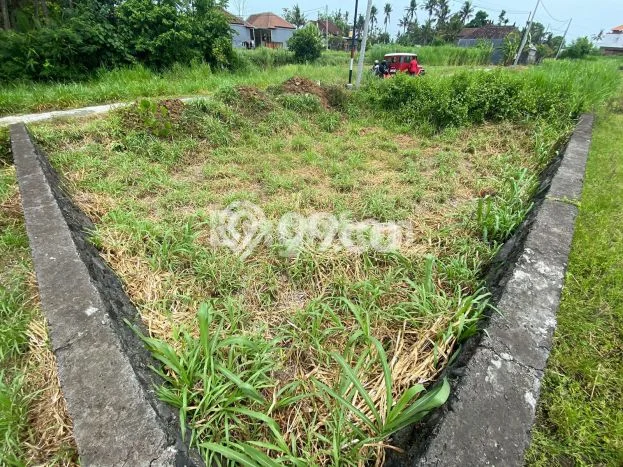 Tanah Dijual di Gianyar Seluas 150m2 Strategis Tanah Dijual di Gianyar Seluas 150m2 Strategis