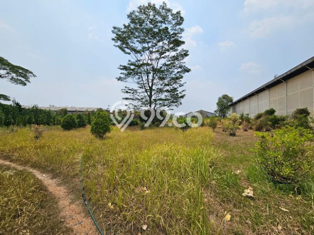 Gudang Area Bisnis Kawasan Curug, Luas 4674m², Disewakan, Ready Digunakan Gudang Area Bisnis Kawasan Curug, Luas 4674m², Disewakan, Ready Digunakan