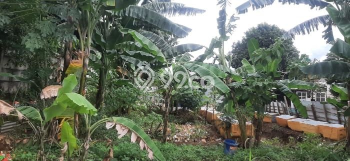 Unit Ruko Strategis di Pamulang, Tangerang Selatan Potensi Cuan Besar Unit Ruko Strategis di Pamulang, Tangerang Selatan Potensi Cuan Besar