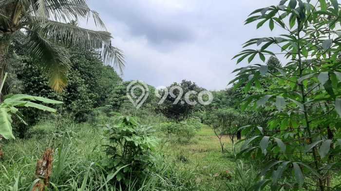 Kavling Tanah Dijual di Cibinong, Bogor, Luas 4526m2 Area Strategis Kavling Tanah Dijual di Cibinong, Bogor, Luas 4526m2 Area Strategis