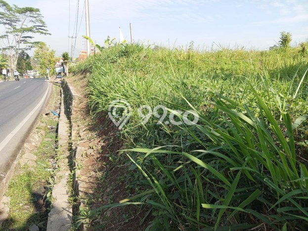 Dijual Tanah Lokasi Padalarang, Bandung Seluas 1214m2 Dijual Tanah Lokasi Padalarang, Bandung Seluas 1214m2