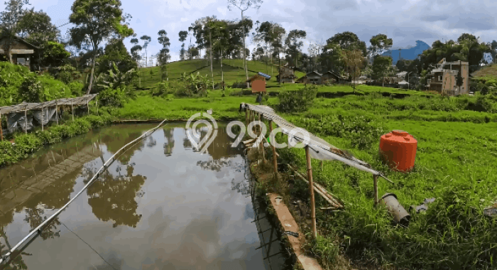 Tanah Dijual Lokasi Ciwidey, Bandung Luas 13037m2 Legalitas Aman Tanah Dijual Lokasi Ciwidey, Bandung Luas 13037m2 Legalitas Aman