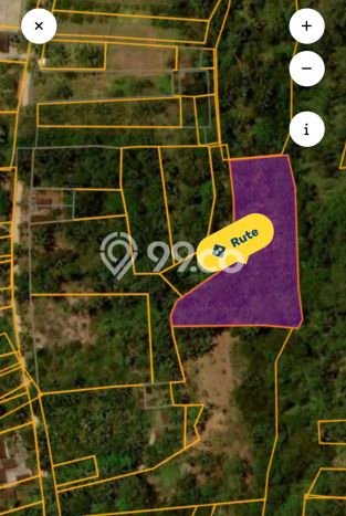 Kavling Tanah Dijual di Penebel Tabanan Spesifikasi 4625m2 Kavling Tanah Dijual di Penebel Tabanan Spesifikasi 4625m2