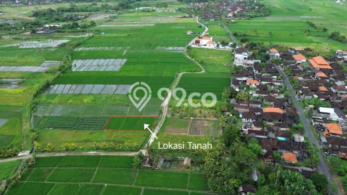 POTENSIAL! Tanah Kawasan Kelating, Luas 700m², Lokasi Strategis POTENSIAL! Tanah Kawasan Kelating, Luas 700m², Lokasi Strategis