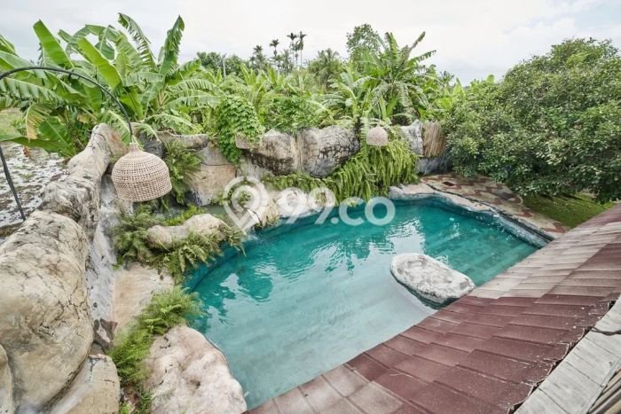 Rumah Terawat 3 KT 3 KM di Ubud, Gianyar Rumah Terawat 3 KT 3 KM di Ubud, Gianyar