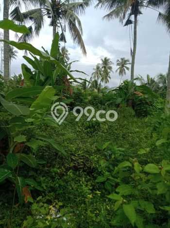 Tanah untuk Dijual di Selemadeg Tabanan Luas 2990m2 Tanah untuk Dijual di Selemadeg Tabanan Luas 2990m2