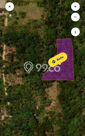 Kavling Tanah Dijual di Penebel Tabanan Spesifikasi 4625m2 Kavling Tanah Dijual di Penebel Tabanan Spesifikasi 4625m2