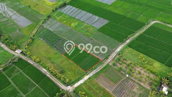 POTENSIAL! Tanah Kawasan Kelating, Luas 700m², Lokasi Strategis POTENSIAL! Tanah Kawasan Kelating, Luas 700m², Lokasi Strategis