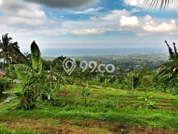 Tanah Kavling untuk Dijual di Buleleng Buleleng 9800m2 Tanah Kavling untuk Dijual di Buleleng Buleleng 9800m2