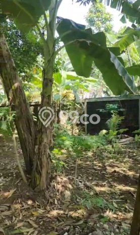 Dijual Tanah 2630m2 di Cirendeu, Jakarta Selatan Dijual Tanah 2630m2 di Cirendeu, Jakarta Selatan