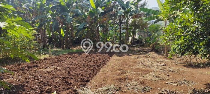 Dijual Tanah 2630m2 di Cirendeu, Jakarta Selatan Dijual Tanah 2630m2 di Cirendeu, Jakarta Selatan