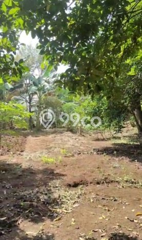 Dijual Tanah 2630m2 di Cirendeu, Jakarta Selatan Dijual Tanah 2630m2 di Cirendeu, Jakarta Selatan