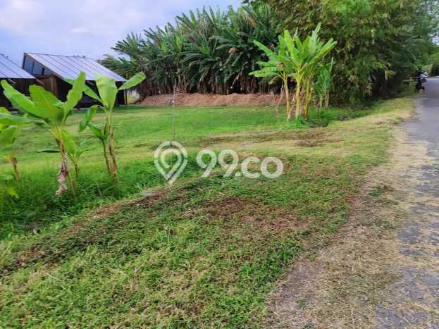 HARGA TERBAIK! Tanah di Tabanan, Luas 320000m2m², Akses Jalan Utama, Area Potensial HARGA TERBAIK! Tanah di Tabanan, Luas 320000m2m², Akses Jalan Utama, Area Potensial