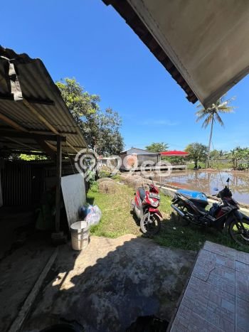 Lahan Kosong Dijual di Bogor dengan Area 800m2 Lahan Kosong Dijual di Bogor dengan Area 800m2