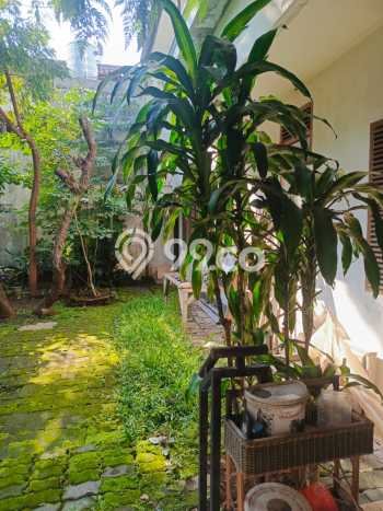 Dijual Hunian Mewah dengan Fasilitas Sekitar Komplit di Bogor Tengah, Bogor Dijual Hunian Mewah dengan Fasilitas Sekitar Komplit di Bogor Tengah, Bogor