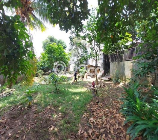 Rumah Modern Cantik 3 KT Bisa Langsung Pindah di Bogor Selatan Rumah Modern Cantik 3 KT Bisa Langsung Pindah di Bogor Selatan