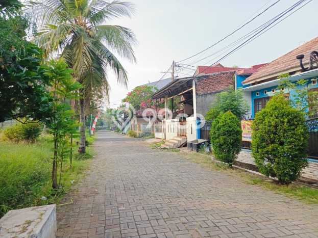 Jual Rumah Modern 4 KT di Tanah Sareal, Bogor Jual Rumah Modern 4 KT di Tanah Sareal, Bogor