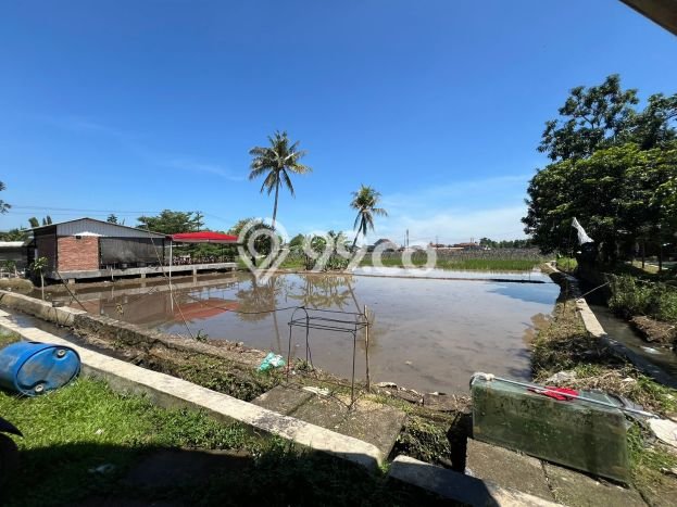 Lahan Kosong Dijual di Bogor dengan Area 800m2 Lahan Kosong Dijual di Bogor dengan Area 800m2