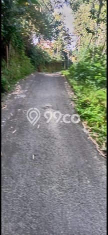 Tanah Kavling untuk Dijual di Cijeruk Bogor 1500m2 Tanah Kavling untuk Dijual di Cijeruk Bogor 1500m2
