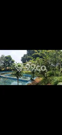 Dijual Tanah di Parung Bogor Luas 2260m2 AJB Dijual Tanah di Parung Bogor Luas 2260m2 AJB