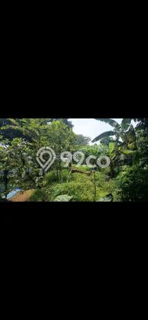 Dijual Tanah di Parung Bogor Luas 2260m2 AJB Dijual Tanah di Parung Bogor Luas 2260m2 AJB