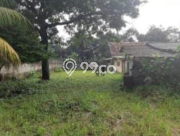 Untuk Dijual Tanah di Cilandak Jakarta Selatan Luas 3200m2 SHM Untuk Dijual Tanah di Cilandak Jakarta Selatan Luas 3200m2 SHM