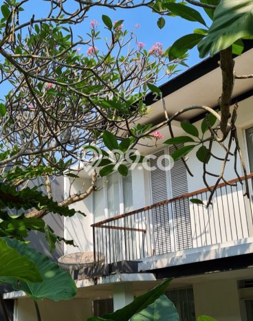 Rumah Elit Modern Tanpa Renovasi di Bintaro Tangerang Selatan Rumah Elit Modern Tanpa Renovasi di Bintaro Tangerang Selatan
