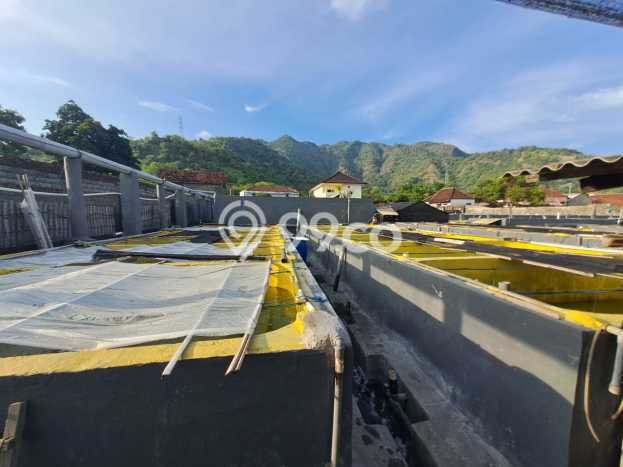 For Sale Rumah Mewah Exclusive di Seririt, Buleleng For Sale Rumah Mewah Exclusive di Seririt, Buleleng