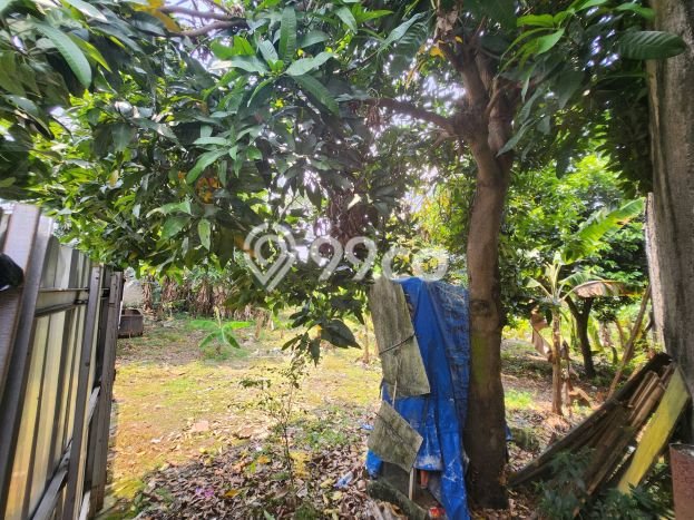 Kavling Tanah di Pamulang Dijual Luas 1500m2 Legalitas SHM Kavling Tanah di Pamulang Dijual Luas 1500m2 Legalitas SHM