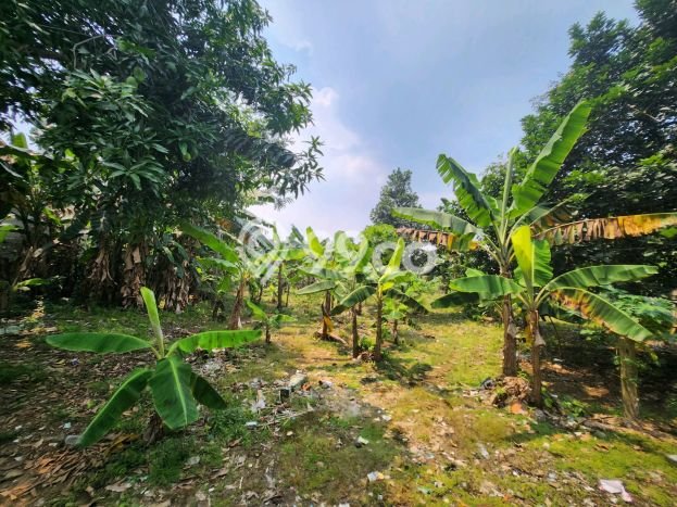 Kavling Tanah di Pamulang Dijual Luas 1500m2 Legalitas SHM Kavling Tanah di Pamulang Dijual Luas 1500m2 Legalitas SHM