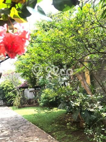 Dijual Rumah Luas Megah Dengan View Cantik di Pejaten, Jakarta Selatan Dijual Rumah Luas Megah Dengan View Cantik di Pejaten, Jakarta Selatan