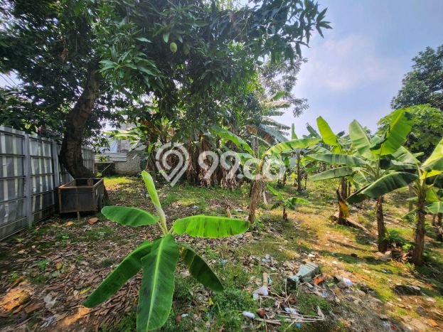 Kavling Tanah di Pamulang Dijual Luas 1500m2 Legalitas SHM Kavling Tanah di Pamulang Dijual Luas 1500m2 Legalitas SHM