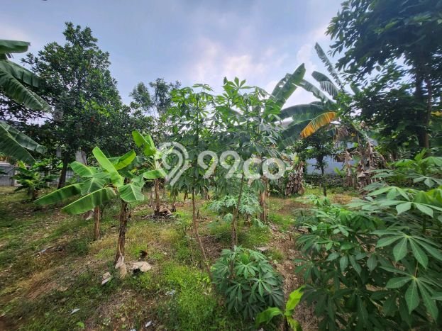 Kavling Tanah di Pamulang Dijual Luas 1500m2 Legalitas SHM Kavling Tanah di Pamulang Dijual Luas 1500m2 Legalitas SHM