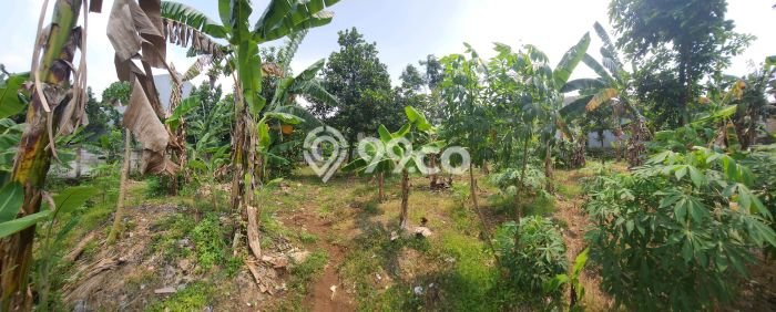 Kavling Tanah di Pamulang Dijual Luas 1500m2 Legalitas SHM Kavling Tanah di Pamulang Dijual Luas 1500m2 Legalitas SHM