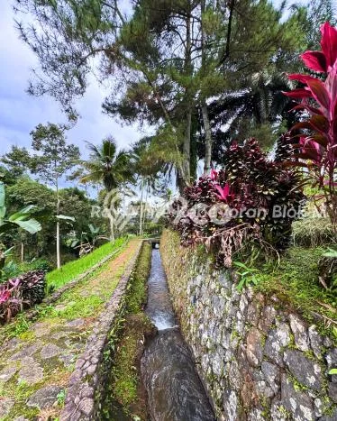 KESEMPATAN EMAS! Vila Kawasan Cisarua, Ukuran 30000m2m², Lokasi Eksklusif dengan keamanan terjaga KESEMPATAN EMAS! Vila Kawasan Cisarua, Ukuran 30000m2m², Lokasi Eksklusif dengan keamanan terjaga