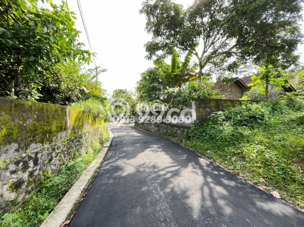 Hunian Terjangkau Dijual Area Turi, Sleman Harga Rp.465 Juta Hunian Terjangkau Dijual Area Turi, Sleman Harga Rp.465 Juta