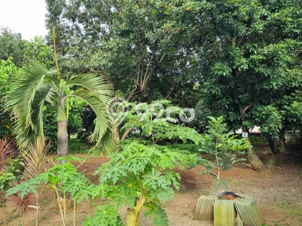 Kavling Tanah Dijual di Rawalumbu, Bekasi, Luas 3636m2 Area Strategis Kavling Tanah Dijual di Rawalumbu, Bekasi, Luas 3636m2 Area Strategis