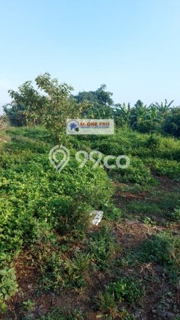 Kavling Tanah di Legok Dijual Luas 70000m2 Legalitas SHM Kavling Tanah di Legok Dijual Luas 70000m2 Legalitas SHM