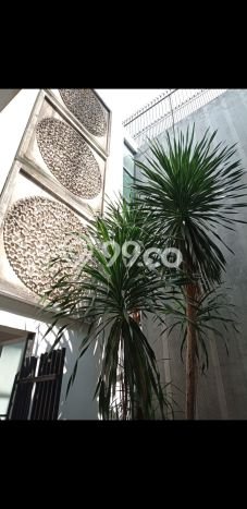 Siap Huni Rumah Mewah 5 Kamar di Kelapa Gading Dekat ke Mana Pun Siap Huni Rumah Mewah 5 Kamar di Kelapa Gading Dekat ke Mana Pun