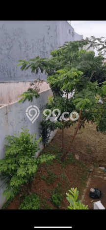 Disewakan Rumah Murah di BSD Tangerang Punya 3 KT Disewakan Rumah Murah di BSD Tangerang Punya 3 KT