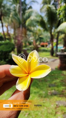 Dijual Hunian Mewah dengan Fasilitas Sekitar Lengkap di Cinere, Depok Dijual Hunian Mewah dengan Fasilitas Sekitar Lengkap di Cinere, Depok