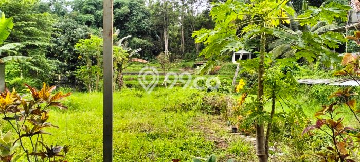 Tanah Area Potensial Kawasan Ciawi, Luas 6415m2m², Ideal untuk Bisnis Tanah Area Potensial Kawasan Ciawi, Luas 6415m2m², Ideal untuk Bisnis